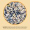 Lyric Lyric Chickadee and Nuthatch Sunflower Seeds and Peanuts Wild Bird Food 20 lb 26-47393 - alternate 3